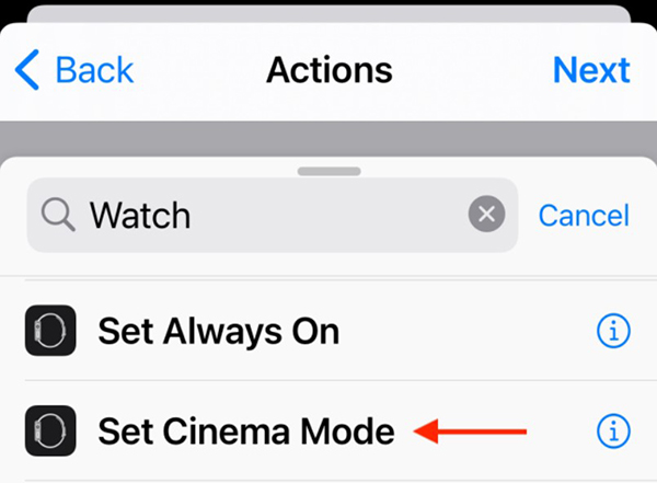 Figura 9 Cómo desactivar el brillo automático de la pantalla del Apple Watch