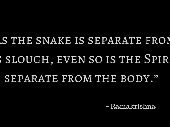 citas sobre serpientes