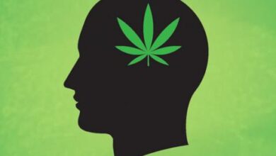 consumo del cannabis