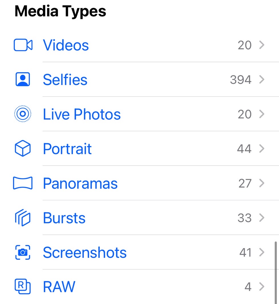La sección Tipos de medios en el menú Álbum de fotos puede ayudarlo a liberar el almacenamiento del iPhone con facilidad.