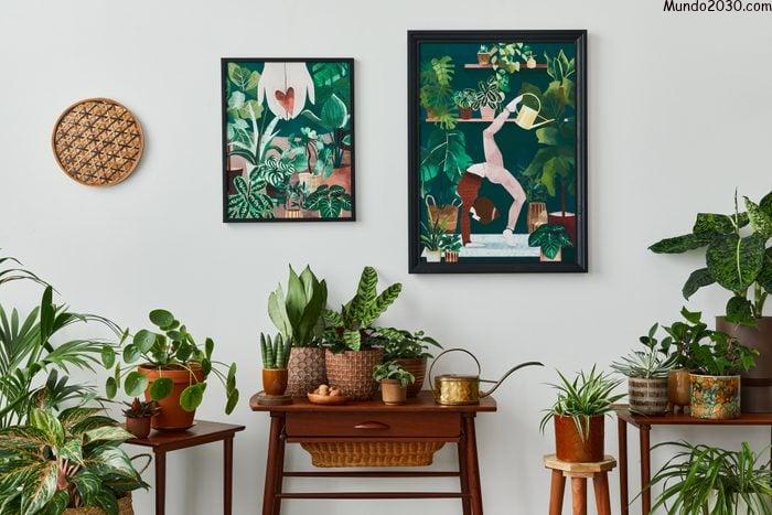 Elegante composición botánica del interior del jardín de la casa con marco de afiche de madera, lleno de hermosas plantas de casa, cactus, suculentas en diferentes macetas de diseño y accesorios florales